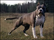 JCH EPD Moonlight Cafe Lesoto